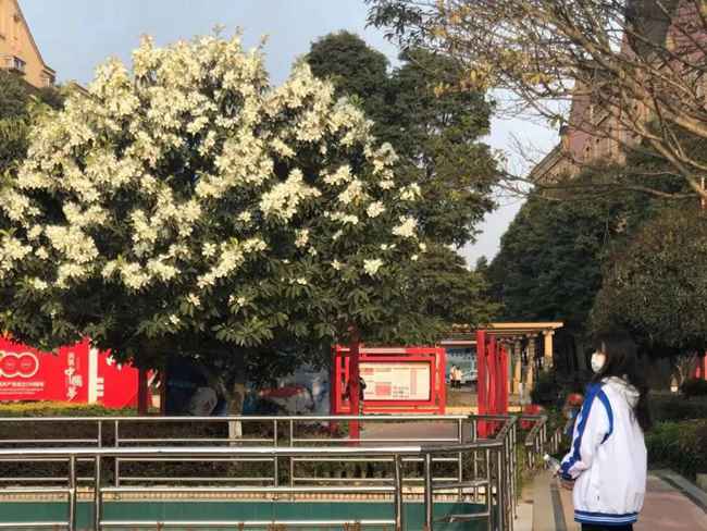 贵州省福泉五月花职业学院